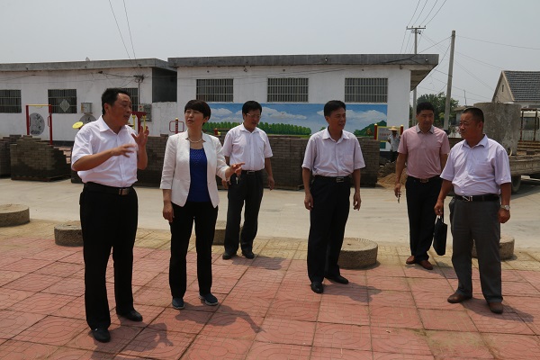 费县人民医院院长王传梅到"第一书记"任职村现场办公